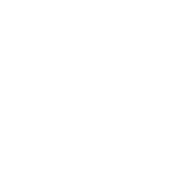 navidadinfotech logo